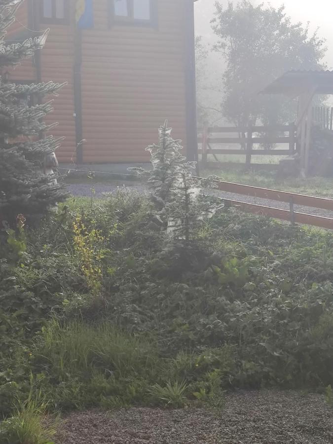 Sadyba Geredzhuka Ворохта Экстерьер фото